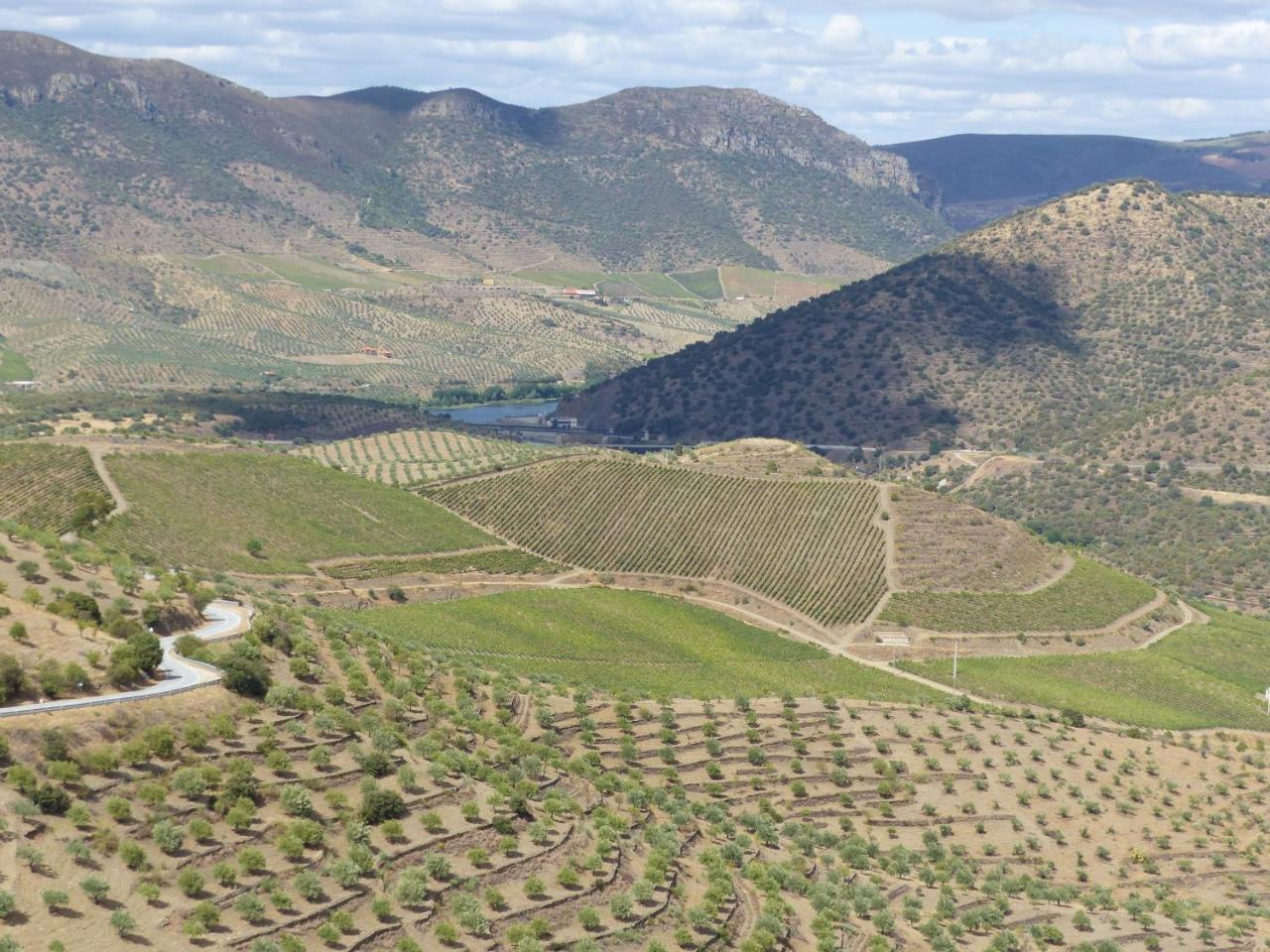 Casa Das Castas Wine GuesthouseVermiosa エクステリア 写真